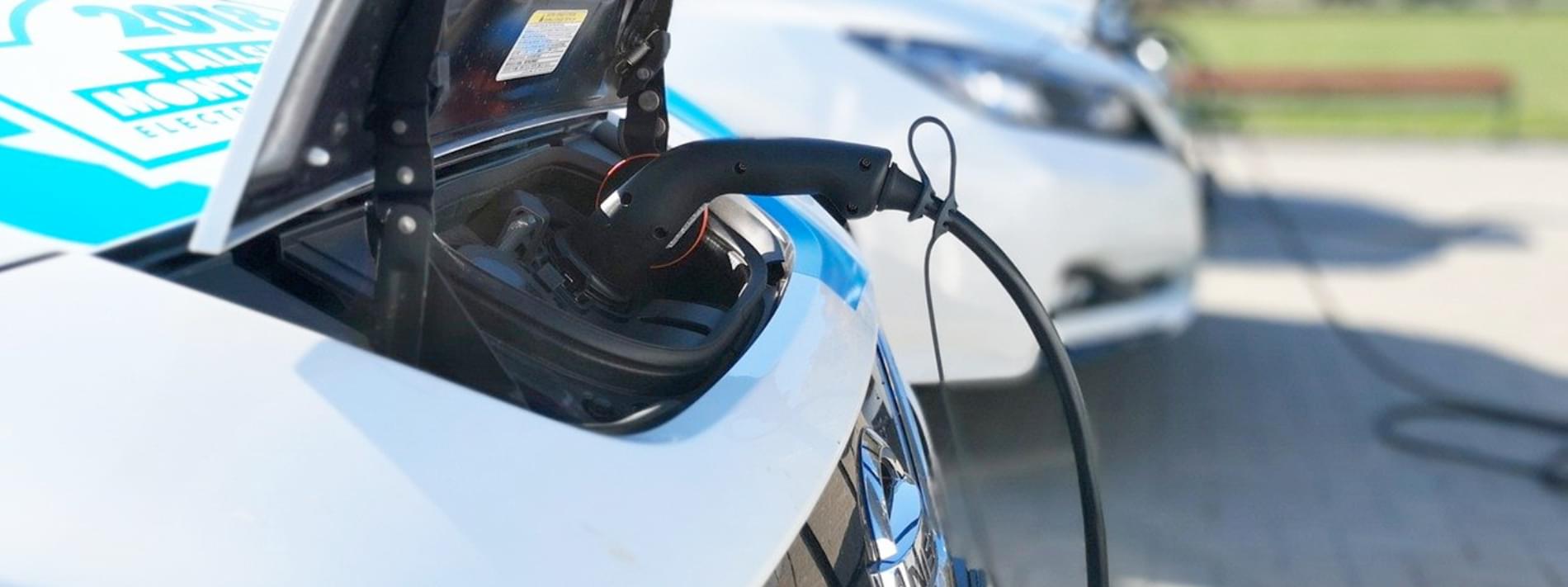 Electric vehicles being charged
